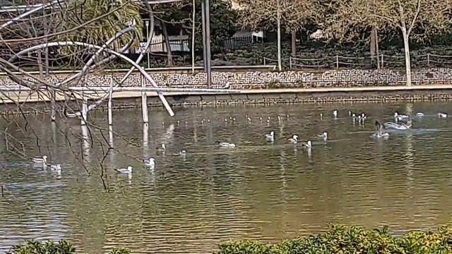 Park Diagonal Mar смотреть онлайн