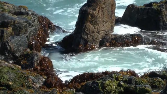 Вальпараисо смотреть онлайн