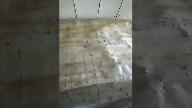 Как быстро отобрать магазинные рамки на откачку меда. - Карболовая кислота смотреть онлайн