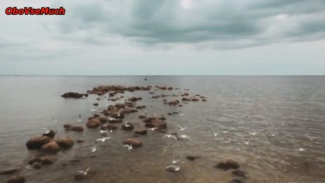 СВАДЕБНЫЕ ПРИМЕТЫ !!! Правила, запреты, мудрые советы и суеверия. смотреть онлайн