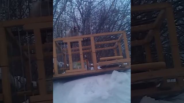 ловля первого щегла смотреть онлайн