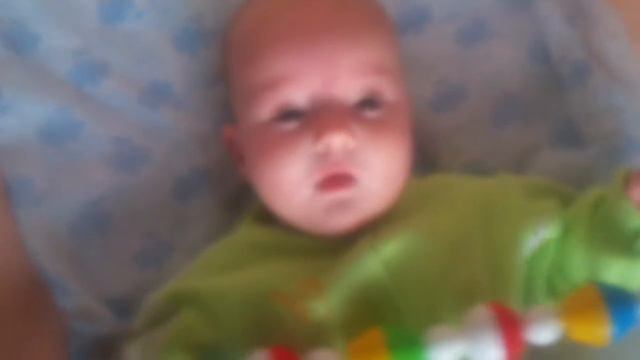 птица говорун отличается умом и сообразительностью смотреть онлайн