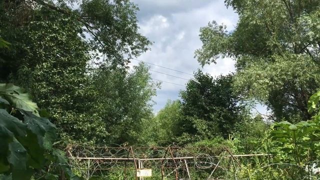 Берег реки - обрезка зонтов борщевика смотреть онлайн