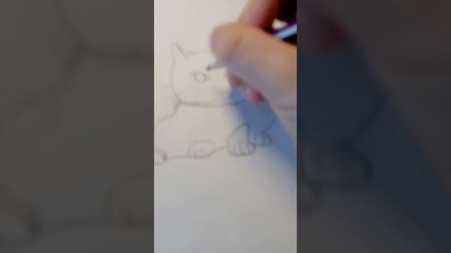 как легко нарисовать кота. смотреть онлайн