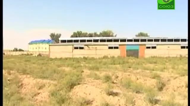В Камызякском р-не выстроили два цеха смотреть онлайн