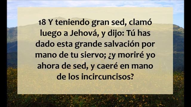 La Biblia hablada/Jueces 14 - 16 смотреть онлайн