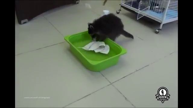 Я хорошая домахозяйка смотреть онлайн