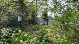 1 выпуск. Купил заброшенную дачу. Восстанавливаю своими руками без специалистов. Обзор старого дома