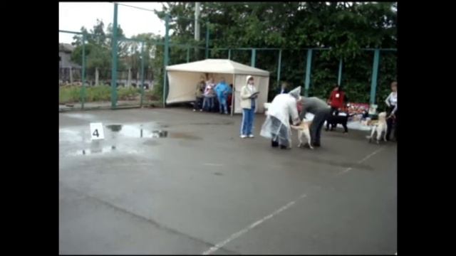 Лорд на выставке смотреть онлайн