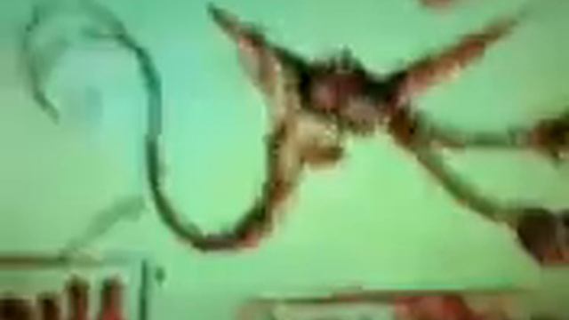 КАК ПРИРУЧИТЬ ДРАКОНА:КНИГА смотреть онлайн