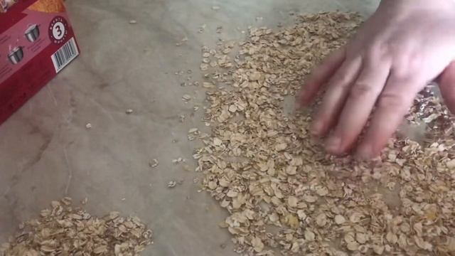 Увелка!Овсянные хлопья с насекомыми!!! смотреть онлайн