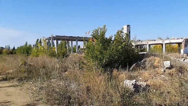 Линевский консервный завод. 2019 смотреть онлайн