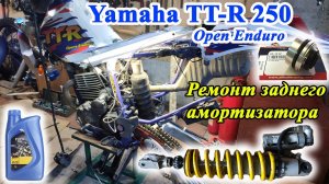 Ремонт заднего амортизатора Японского эндуро мотоцикла. Yamaha TT-R 250 OE 1993 г.