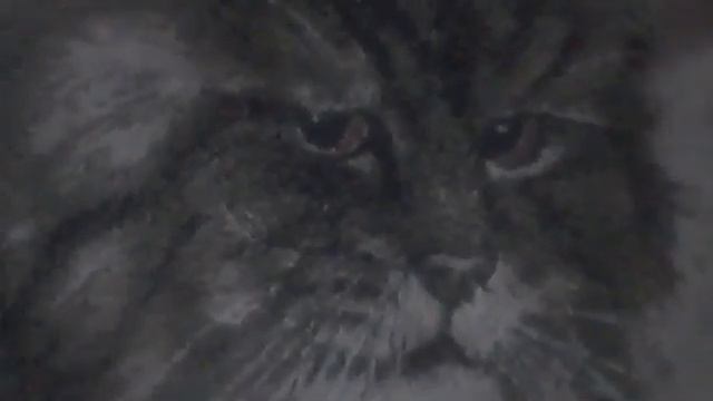 Проверка звука нового бука. Стрим. смотреть онлайн