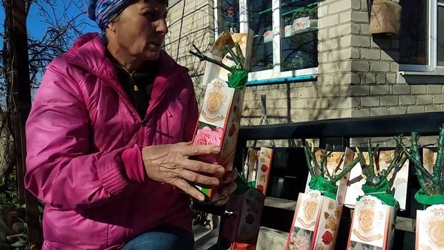 Посылка из Опт-хоз. Розы от Топалович и Кордес смотреть онлайн