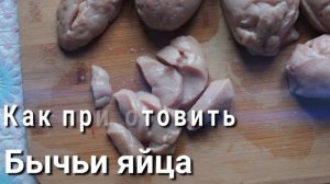 Как приготовить бычьи яйца