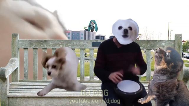 파돌리기송 강아지 리믹스 Ievan Polkka - Dog Version смотреть онлайн