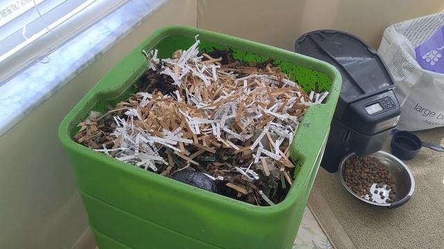 Hot Frog Living Composter Year 1 Day 15 - Quick Feeding - Vermicomposting смотреть онлайн