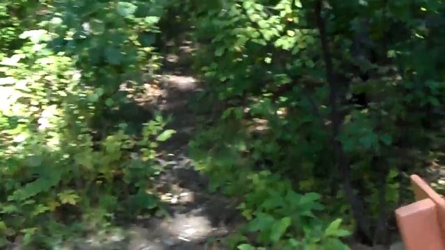 Новосибирск зоопарк последний день лета 2014 ч23 смотреть онлайн