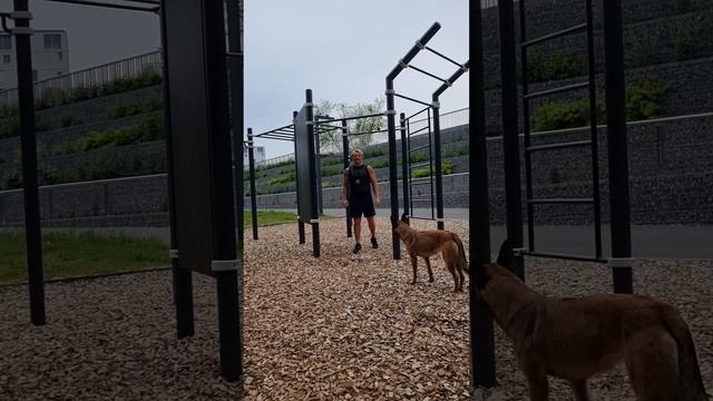 18 minutes full body workout with 20 kg. weighted vest. Всё тело за 18 минут с жилетом 20кг смотреть онлайн