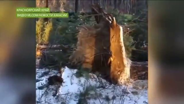 В Хакасии возможно повторение воскресного урагана смотреть онлайн