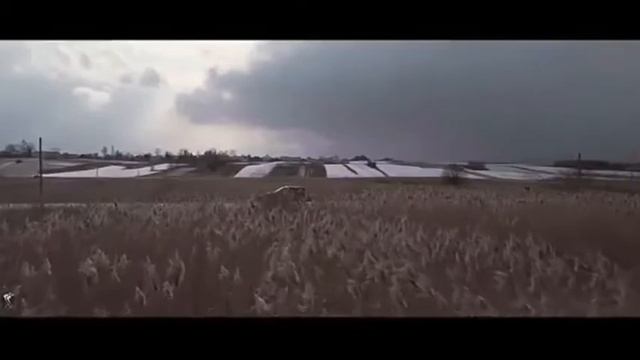 RICING TO TOYOTA LAND CRUSER VS LEXUS L570 VS PORSCHE CAYANNE смотреть онлайн