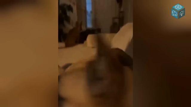 45 Мистических Явлений, Снятые На Камеру смотреть онлайн