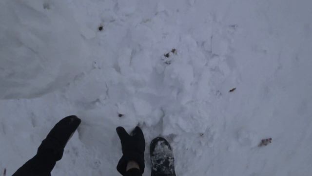 Пуща-Водица. Прогулка по замерзшим запрудам речки Катурки) 15 января смотреть онлайн