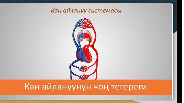 Биология предмети. тема: Канаттуулар классы. смотреть онлайн
