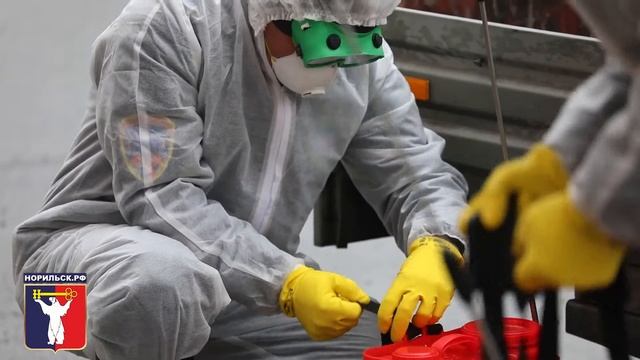 В Норильске началась обработка улично-дорожной сети смотреть онлайн