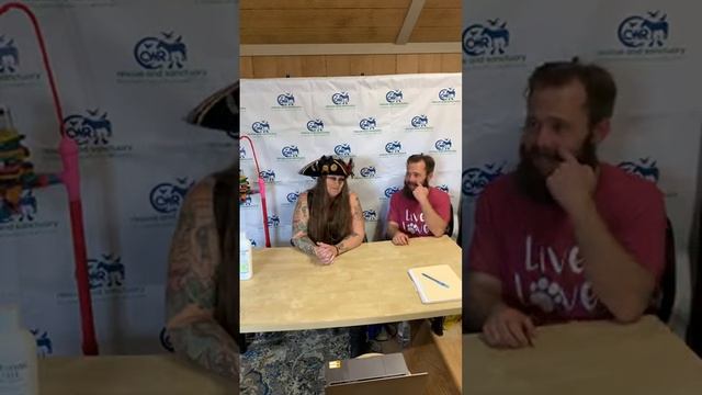 All Day Livestream and Fundraiser Auction - Meet our Animals (and Staff!) Pt. 1 смотреть онлайн