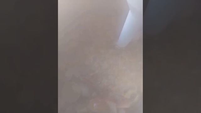 Минивэны: комфорт и стиль