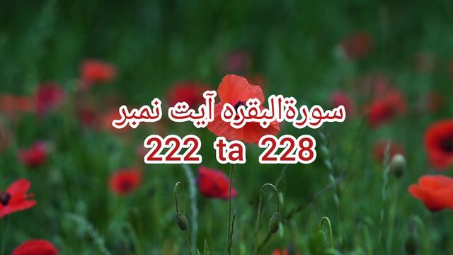 How To Read Quran Surah Albaqarah Ayte 222 Ta 228#Whatsappstatus #Youtubefeed #trending #MashaAllah