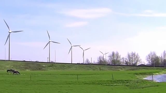 365 Things You Can Do To Help The Environment смотреть онлайн