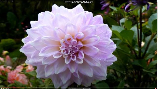 ИНВЕСТОР УМЕЕТ ЖДАТЬ !!! смотреть онлайн