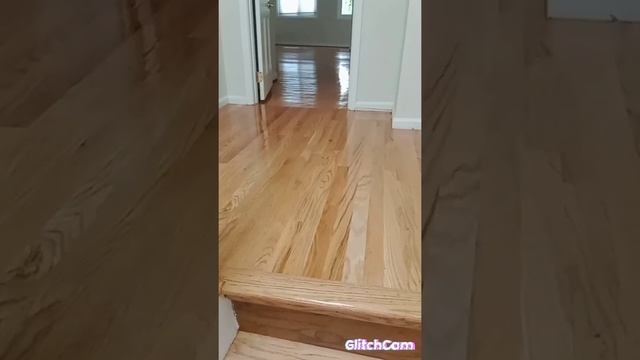 afinado piso natural aceite semi gloos ? calidad смотреть онлайн