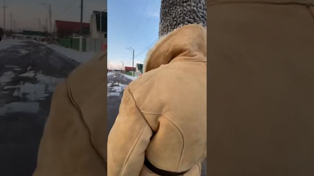 Пьяный Дед / ГАРДЕЙ И ИВАНЫЧ #shortsvideo #а4 #рекомендации #рек #тренды #россия #топ #ютуб #дед смотреть онлайн