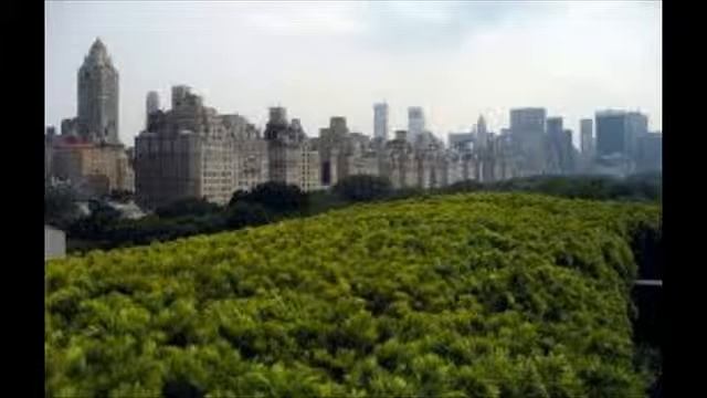 Metropolitan Museum of Art and located in New York City. смотреть онлайн