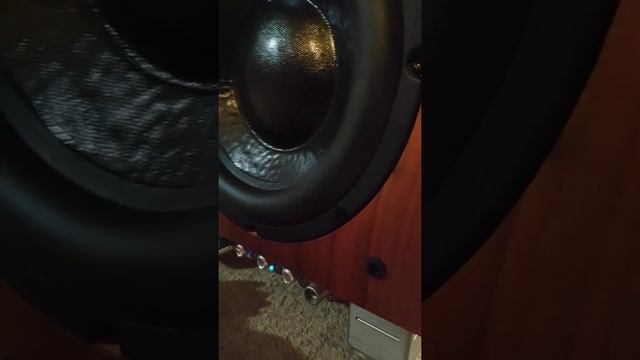 REL R-205 Subwoofer