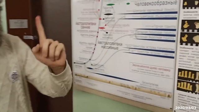 Дробышевский о нашей газете смотреть онлайн