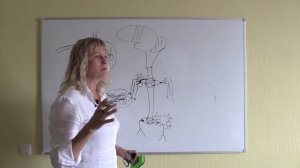 Общая неврология. Лекция 1 "Чувствительность и типы нарушения чувствительности"