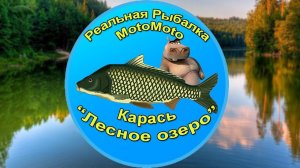 Как поймать Карася на Лесном озере [АРХИВ] | Реальная Рыбалка