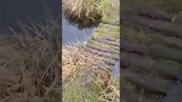 Eetbare Planten Gang met Kruidenspiraal | Eco Care Hoveniers vlog смотреть онлайн