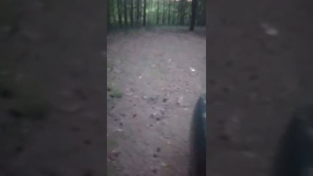 Галант 7 поколение первое видео которое я снял смотреть онлайн