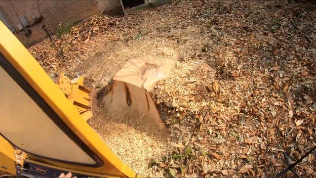 "Extreme Stump Removal: Tackling Two Massive Stumps Head-On!" смотреть онлайн