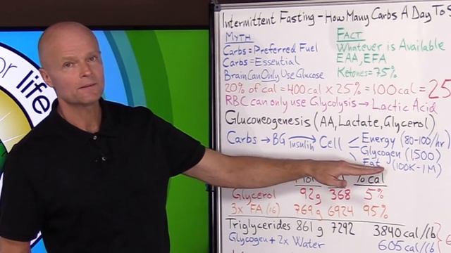 Intermittent Fasting - How Many Carbs A Day To Survive? смотреть онлайн