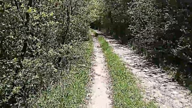 Горлинское водохранилище смотреть онлайн