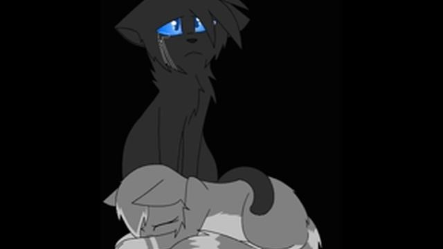 "Коты - Воители" Ласточка и Грачик. В честь памяти о Ласточке. смотреть онлайн