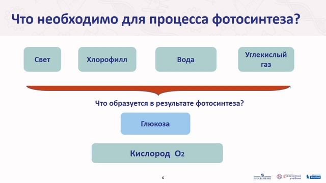 Биология. Воздушное питание (фотосинтез) смотреть онлайн