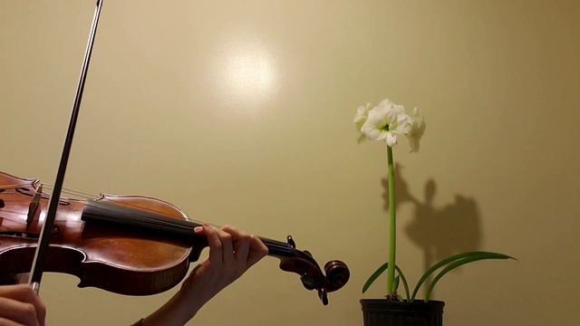 The Swan (Le Cygne - Saint-Saens) Practice With Metronome